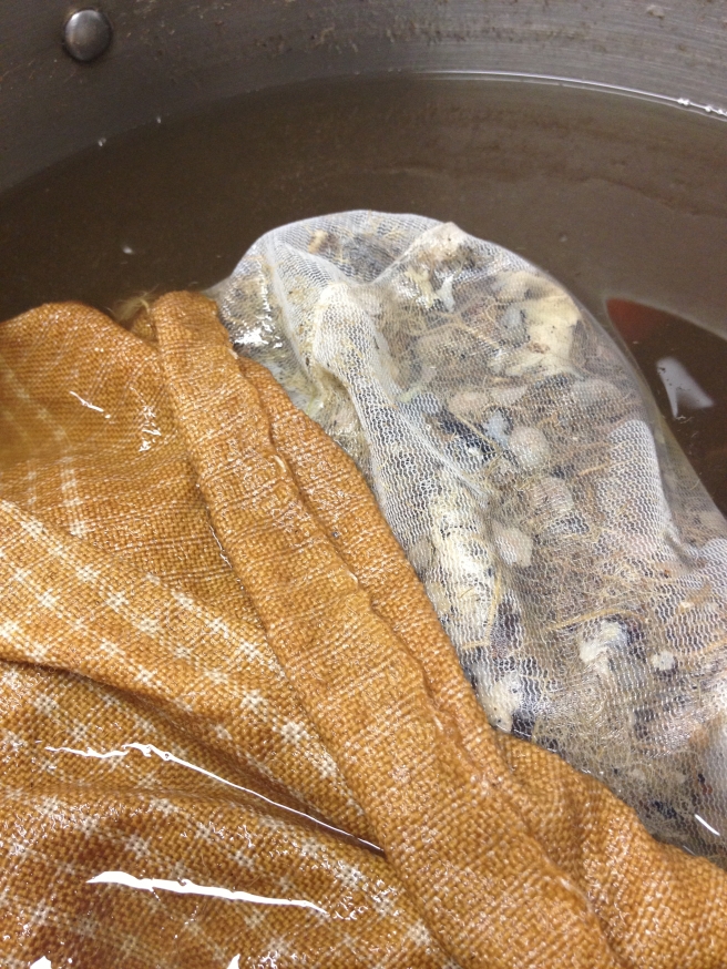Wool and cotton cloth after 1hour in the dyebath