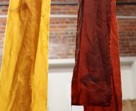 fermented buckthorn bark dye, photo by Kimberly Coyne